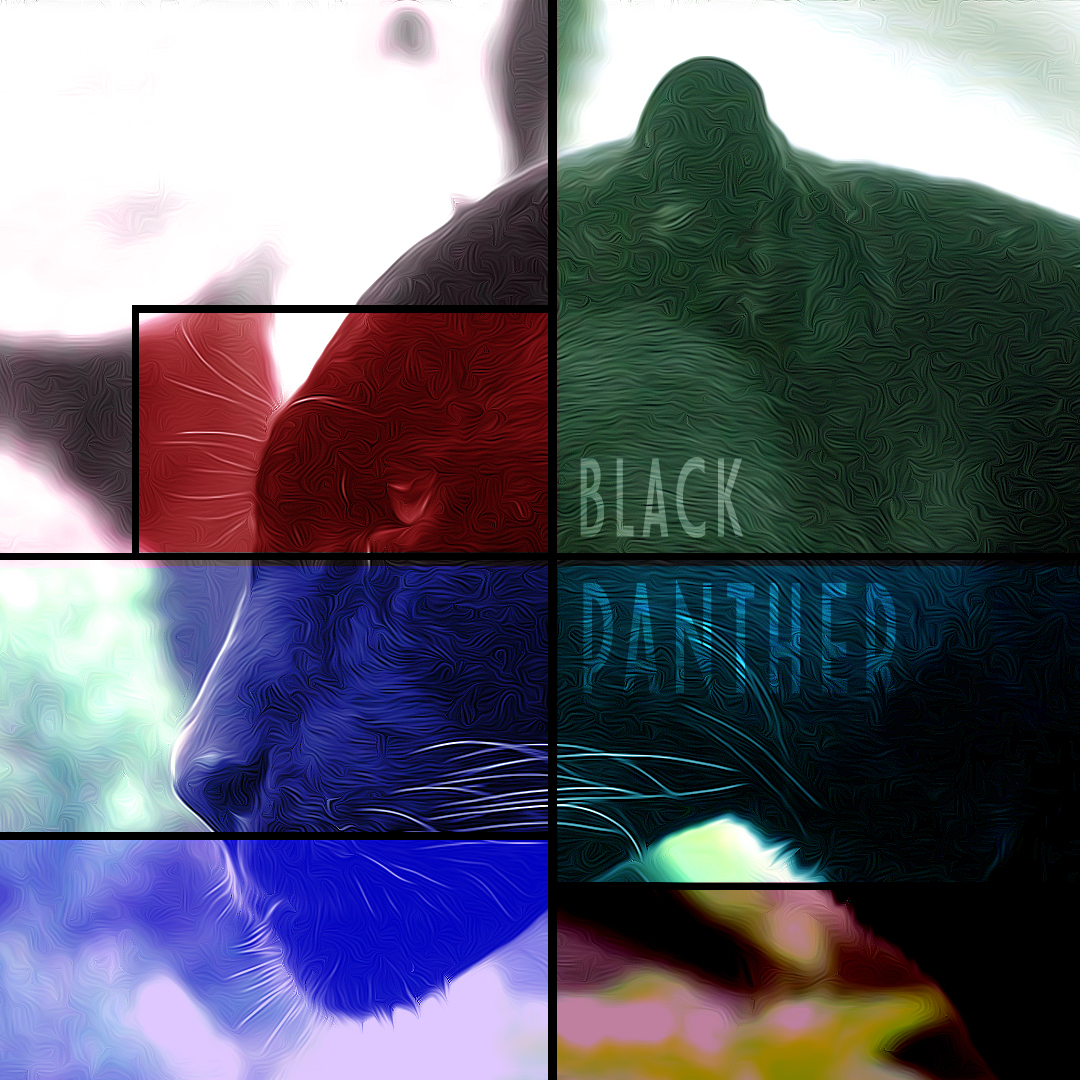Black panther